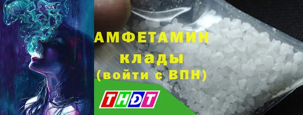 индика Михайлов