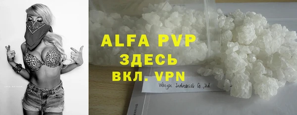 индика Михайлов