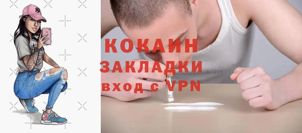 индика Михайлов