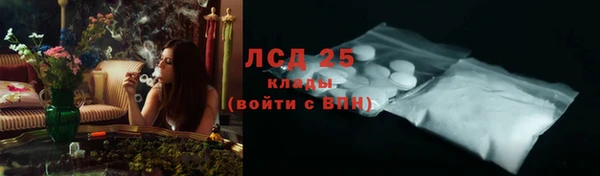индика Михайлов