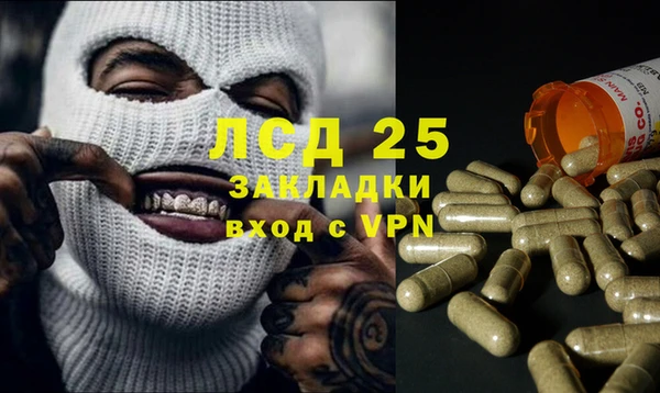 индика Михайлов