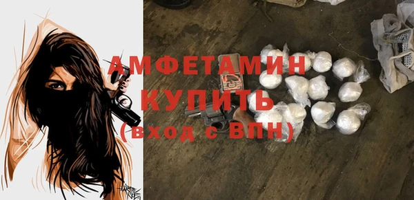 индика Михайлов