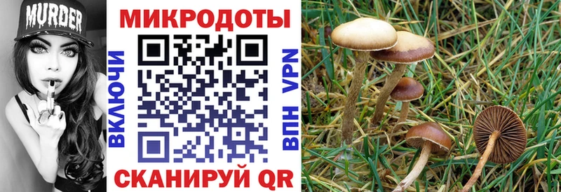 дарнет шоп  Питкяранта  МЕГА ONION  Галлюциногенные грибы ЛСД 